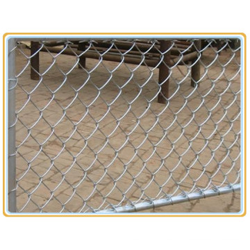 School Protecting Chain Link Fence